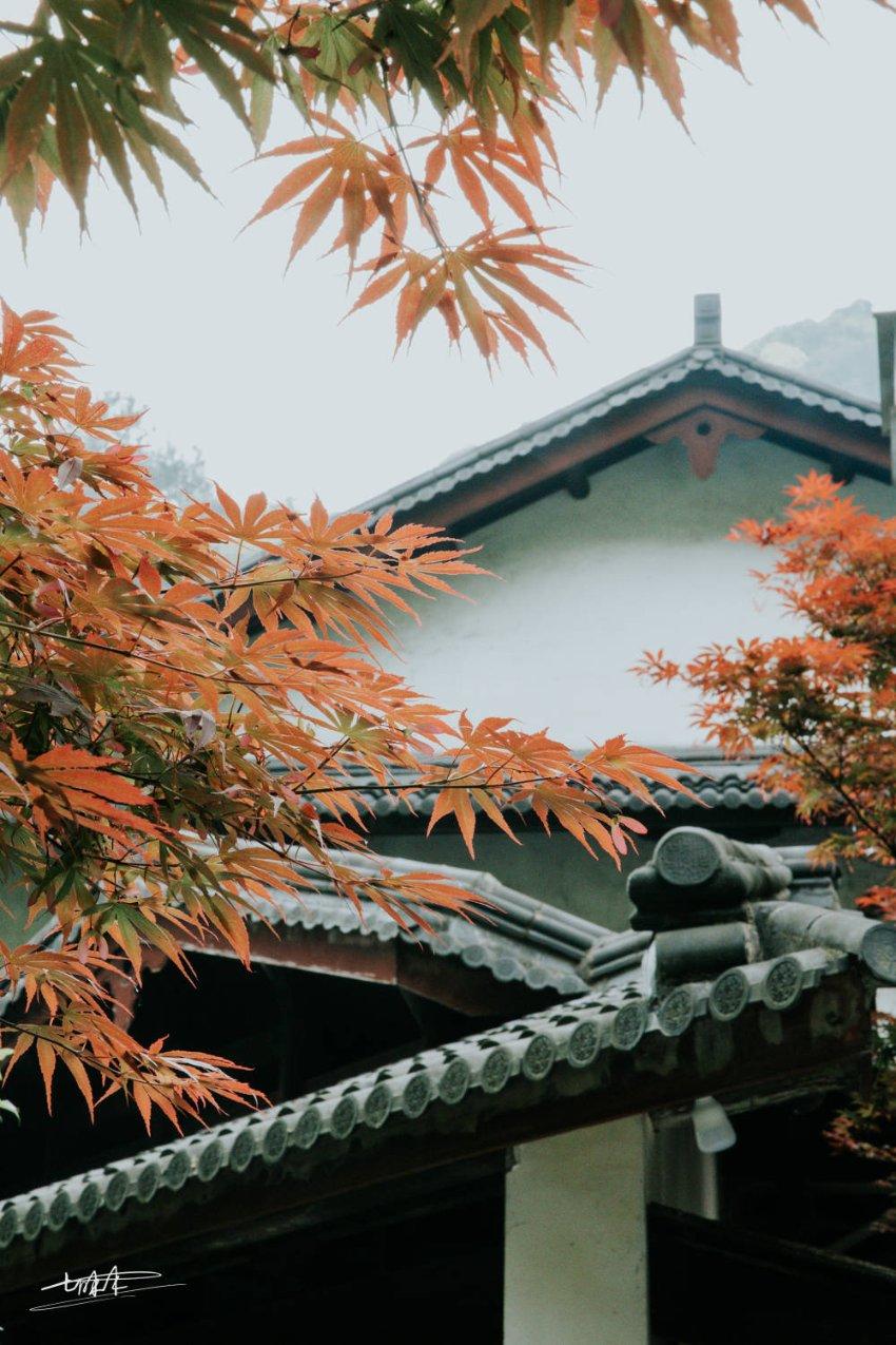 北京博物馆春节活动推出215项